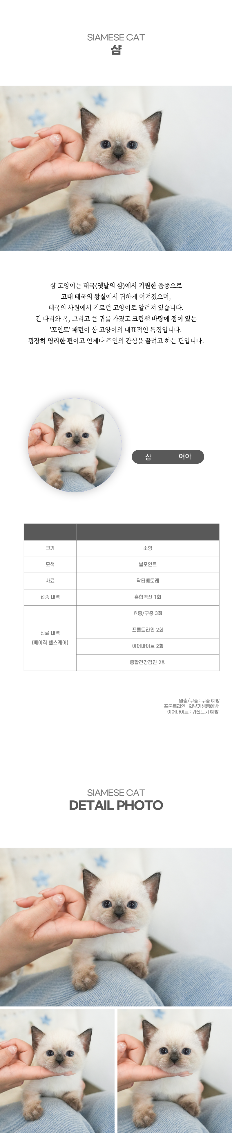 샴_상세이미지_2